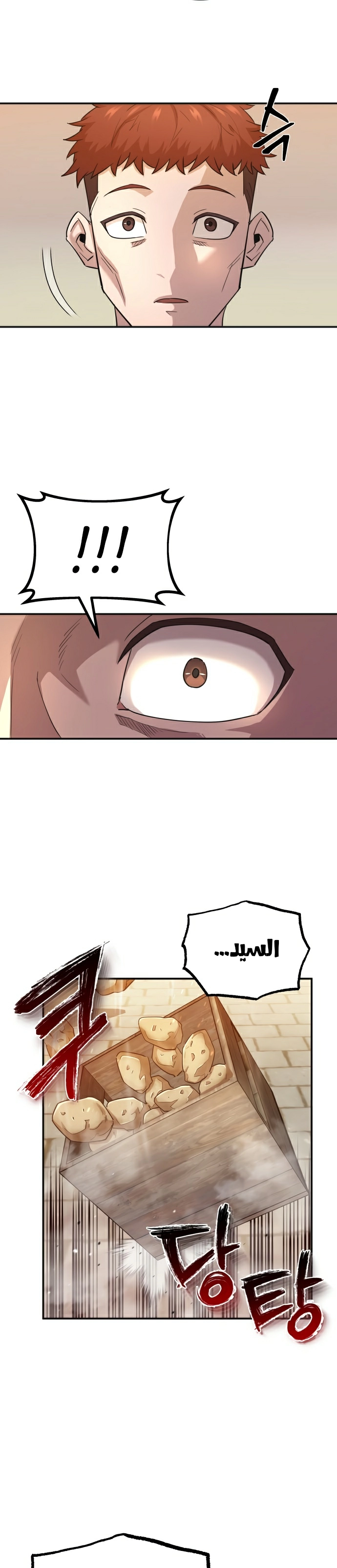 صفحة 26 — The Heavenly Demon Can't Live A Normal Life الفصل 12