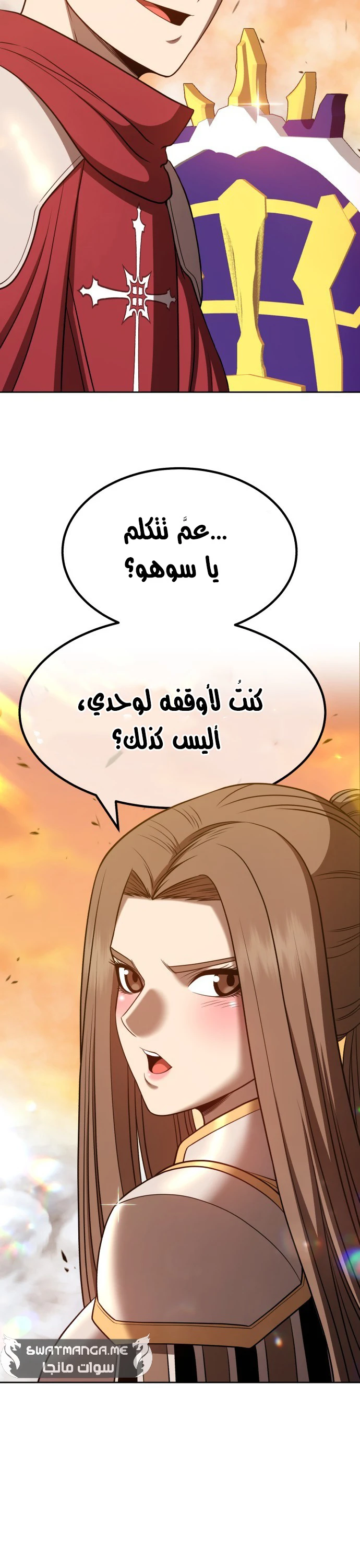 صفحة 49 — +99 Wooden stick الفصل 42