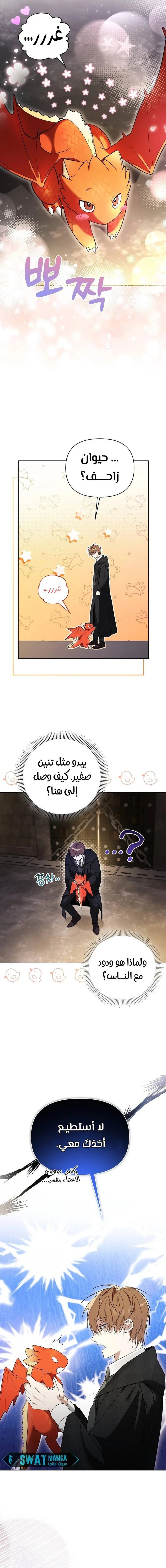 صفحة 16 — The Academy’s Genius Tamer الفصل 1