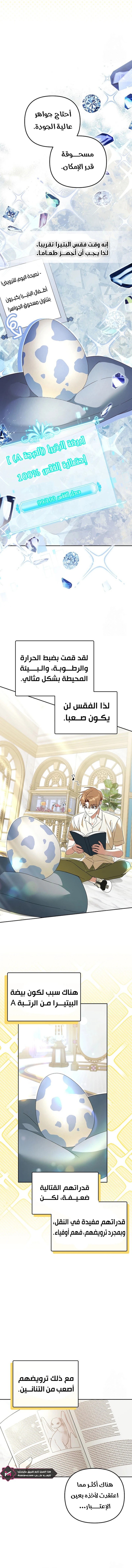 صفحة 8 — The Academy’s Genius Tamer الفصل 28