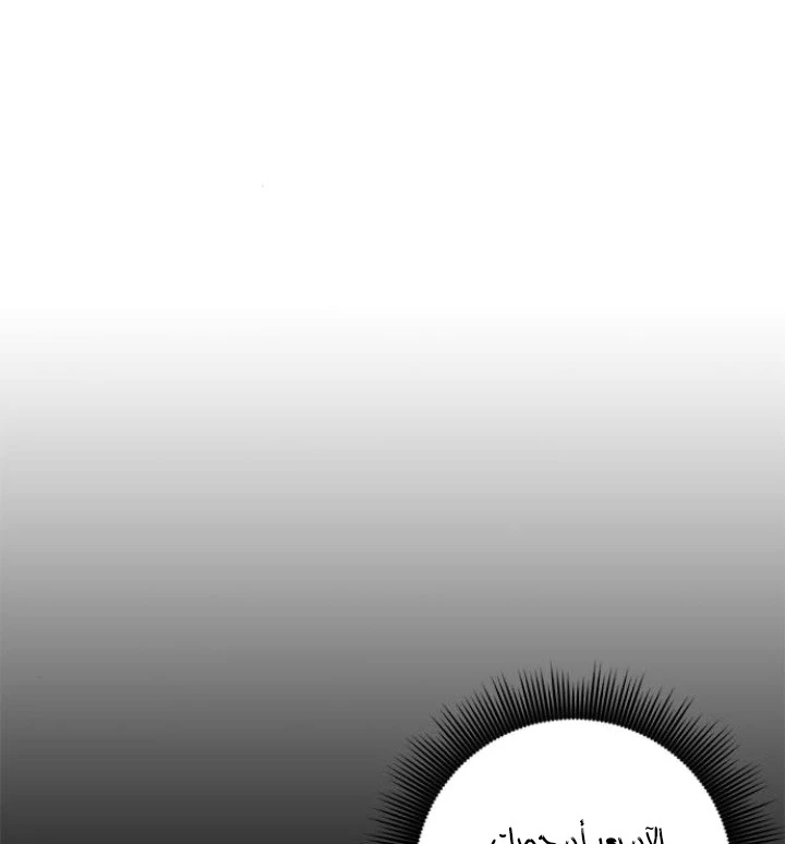 صفحة 37 — Return to Player الفصل 14