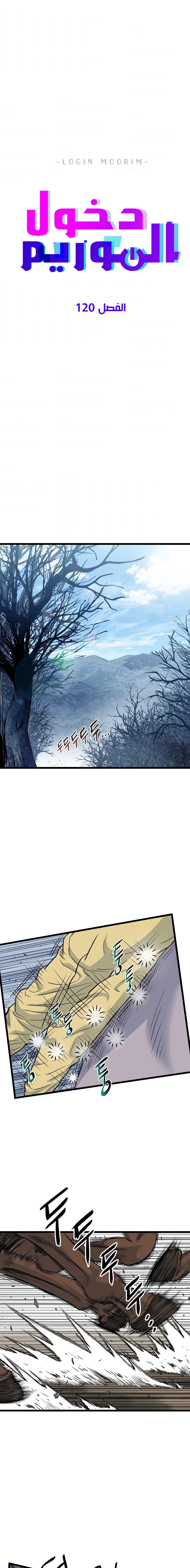 صفحة 11 — Murim Login الفصل 120