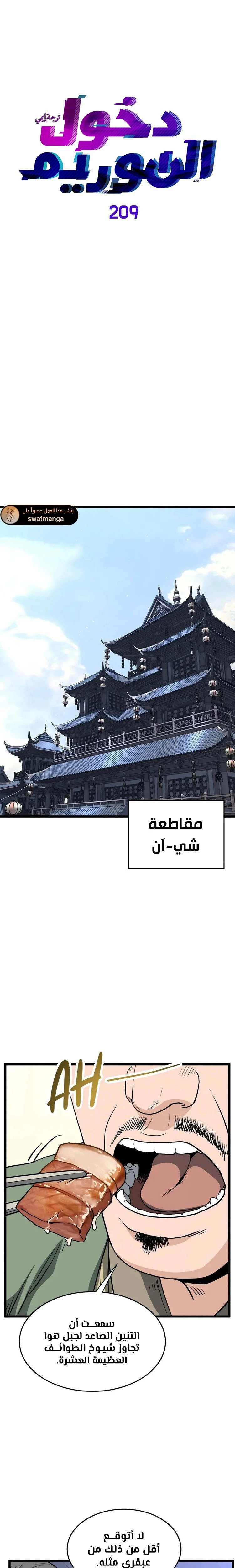 صفحة 19 — Murim Login الفصل 209