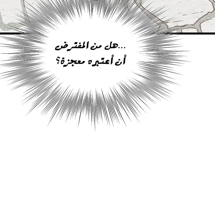 صفحة 45 — Murim Login الفصل 64