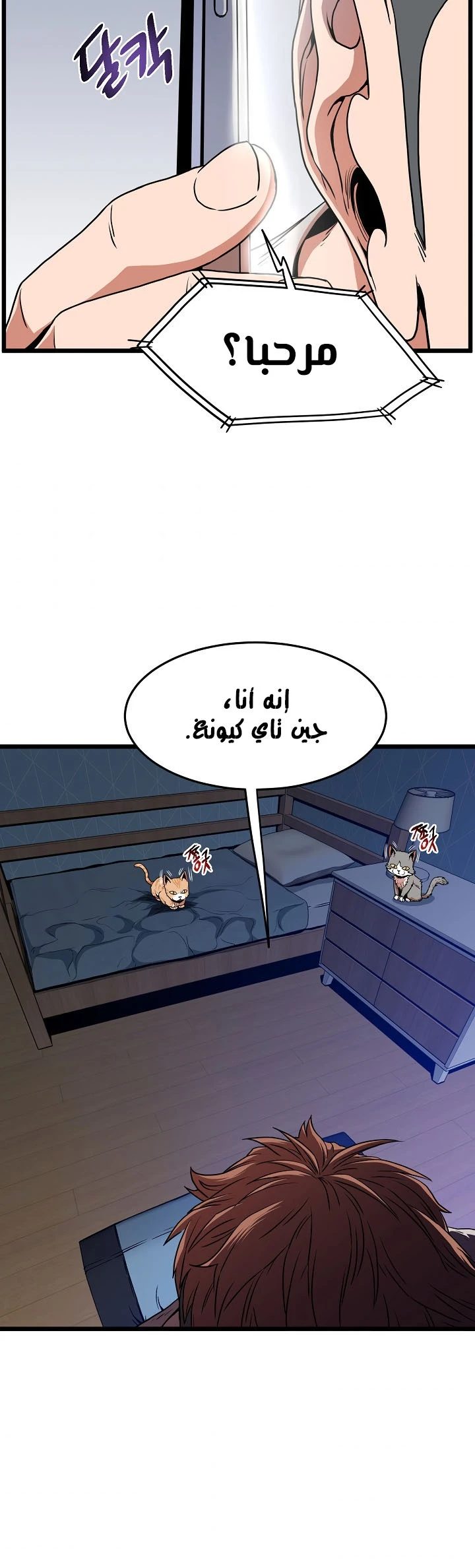 صفحة 47 — Murim Login الفصل 73