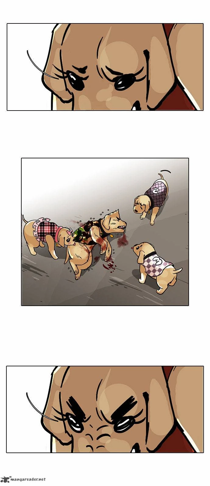 صفحة 17 — Lookism الفصل 69