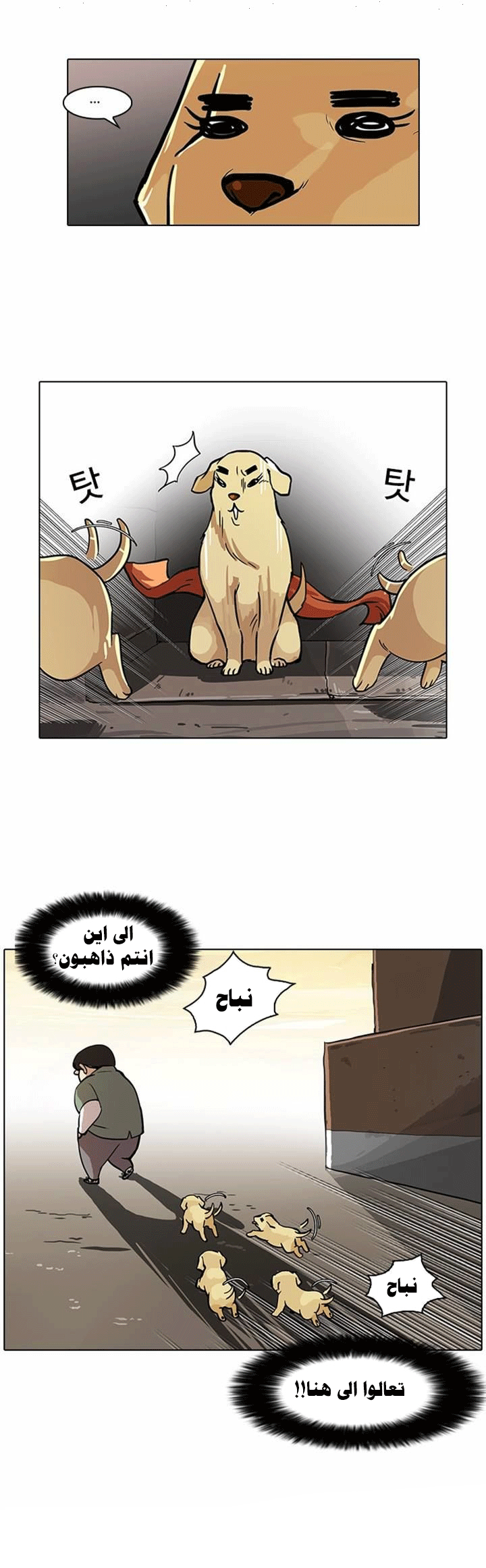 صفحة 23 — Lookism الفصل 62