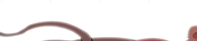 صفحة 61 — FFF-Class Trashero الفصل 54