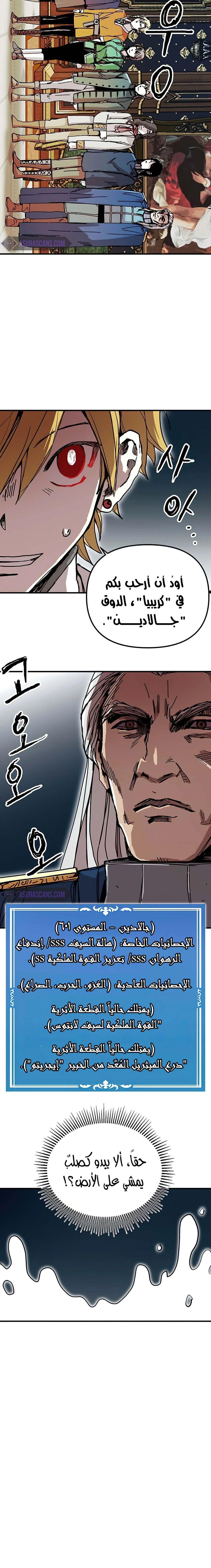 صفحة 15 — Solo Bug Player الفصل 75