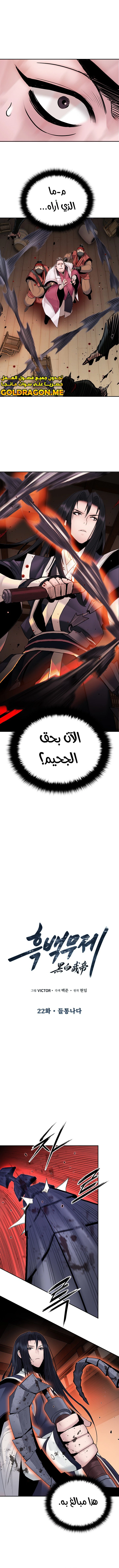 صفحة 1 — Dark and Light Martial Emperor الفصل 22