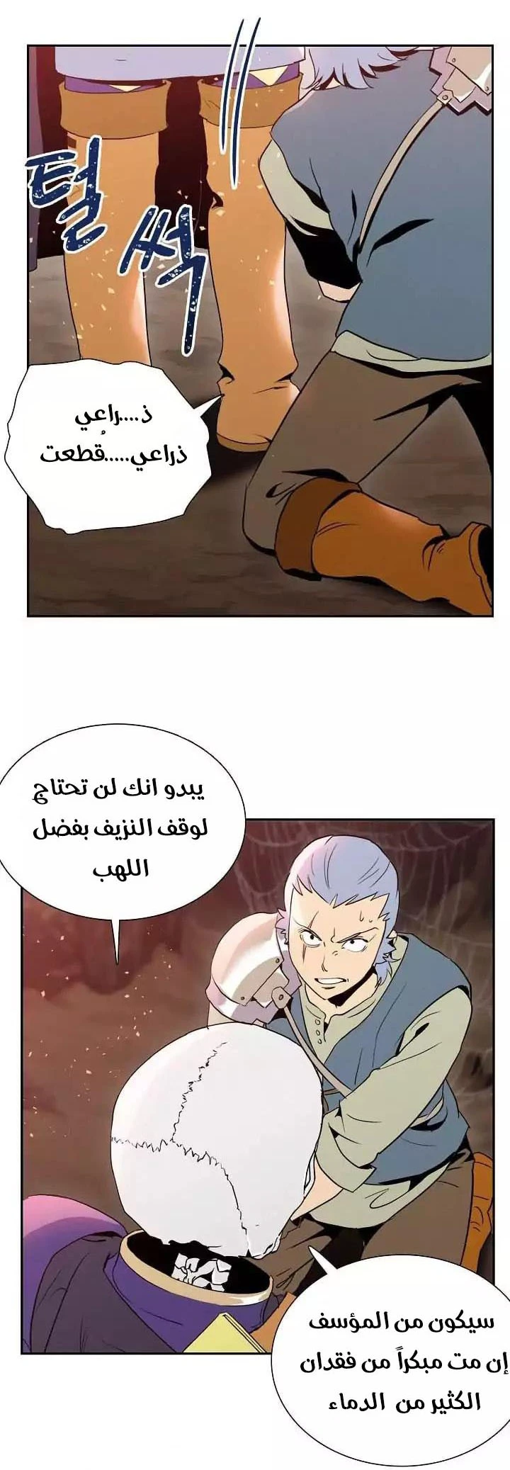 صفحة 3 — Skeleton Soldier Couldn’t Protect the Dungeon الفصل 19
