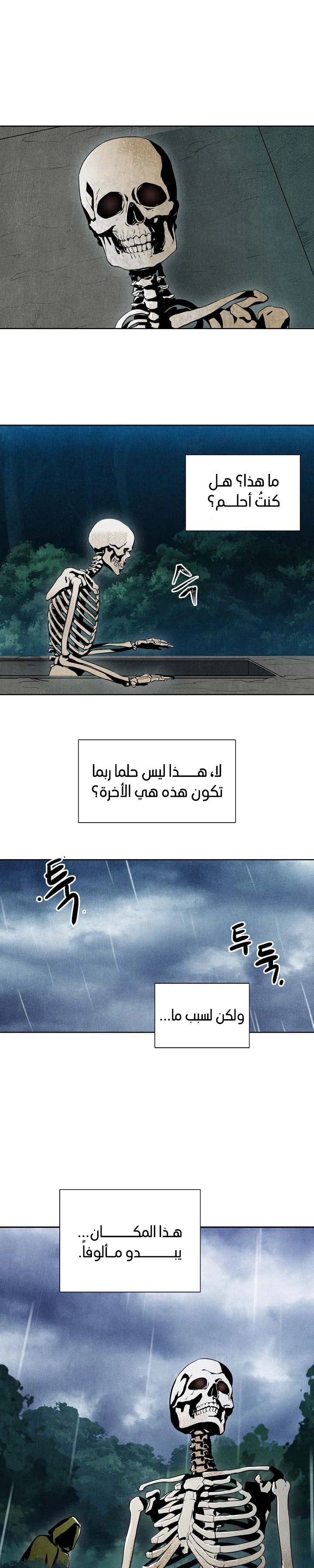 صفحة 10 — Skeleton Soldier Couldn’t Protect the Dungeon الفصل 1