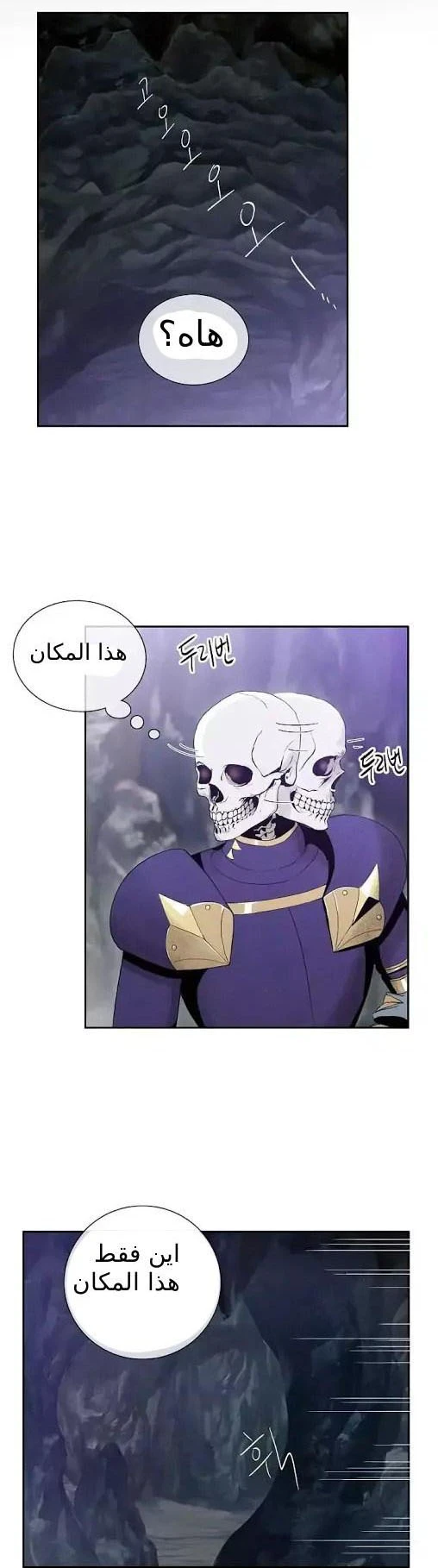 صفحة 25 — Skeleton Soldier Couldn’t Protect the Dungeon الفصل 11