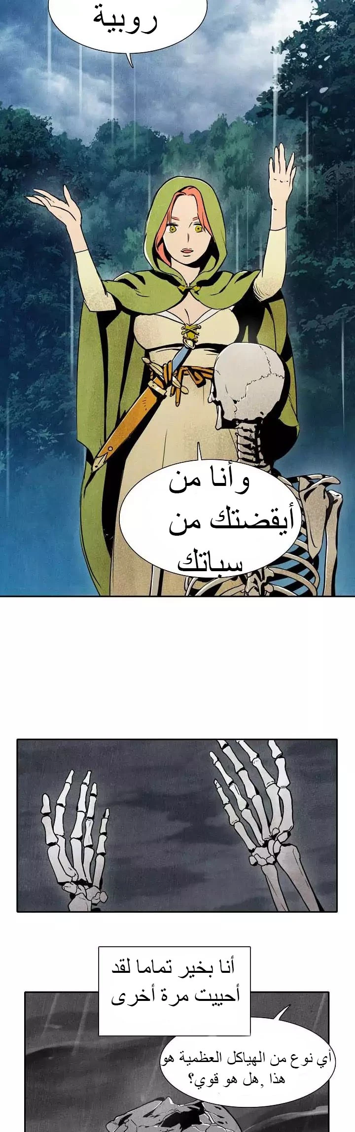 صفحة 3 — Skeleton Soldier Couldn’t Protect the Dungeon الفصل 2