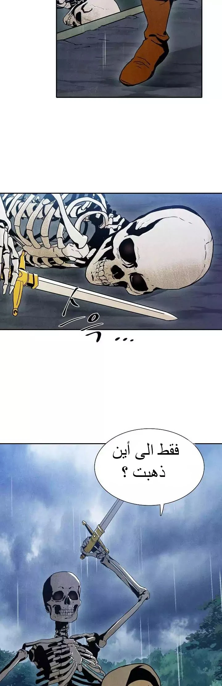 صفحة 17 — Skeleton Soldier Couldn’t Protect the Dungeon الفصل 2