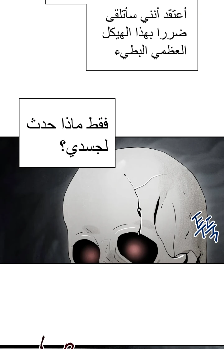 صفحة 19 — Skeleton Soldier Couldn’t Protect the Dungeon الفصل 47