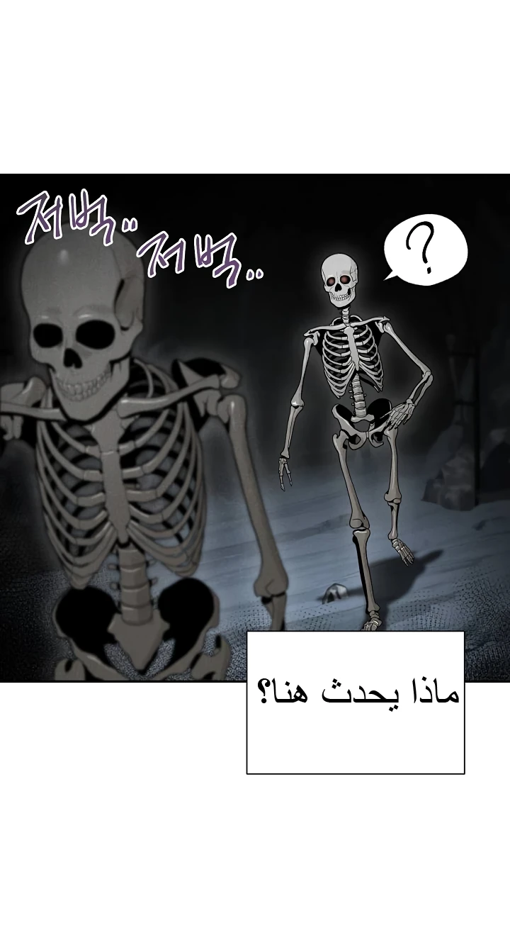 صفحة 32 — Skeleton Soldier Couldn’t Protect the Dungeon الفصل 47