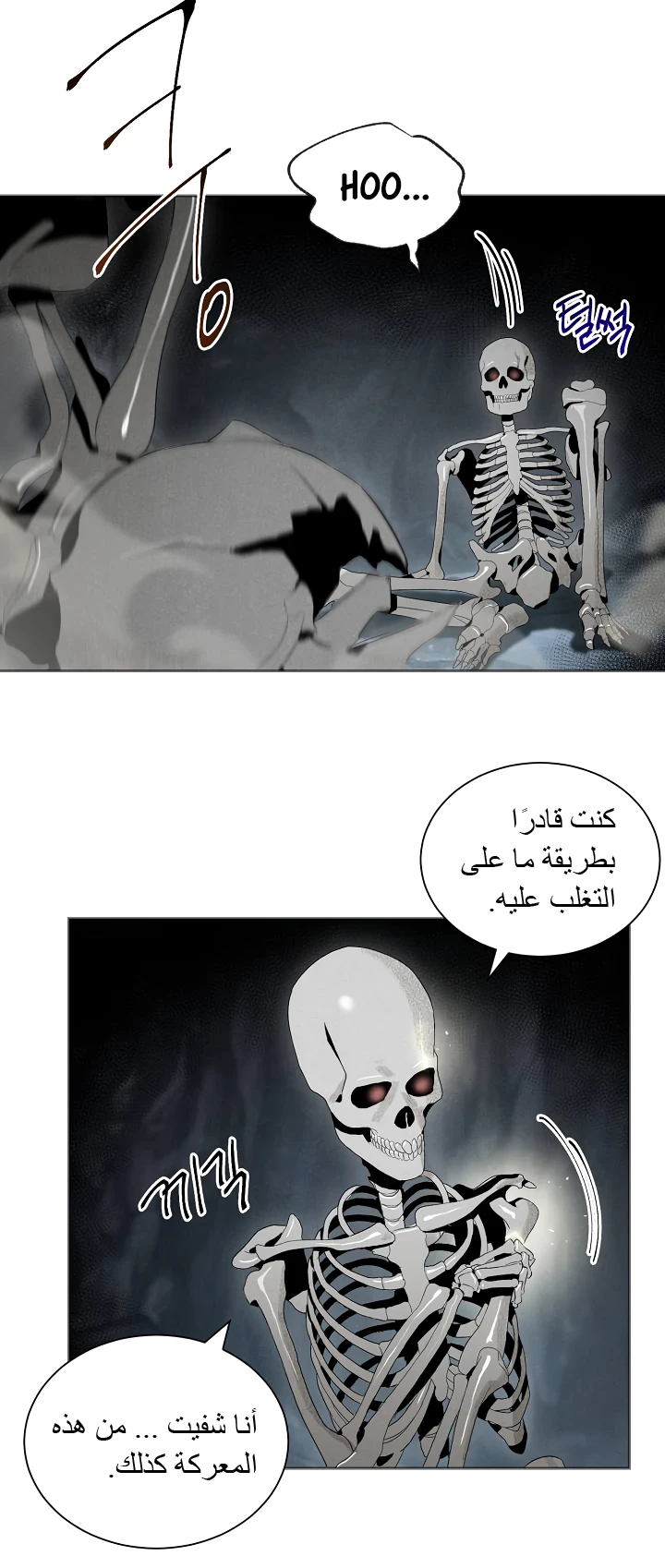 صفحة 49 — Skeleton Soldier Couldn’t Protect the Dungeon الفصل 47