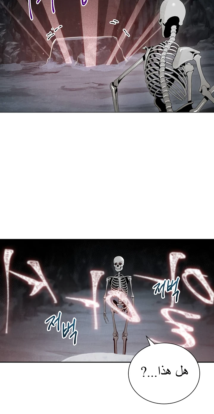 صفحة 51 — Skeleton Soldier Couldn’t Protect the Dungeon الفصل 47