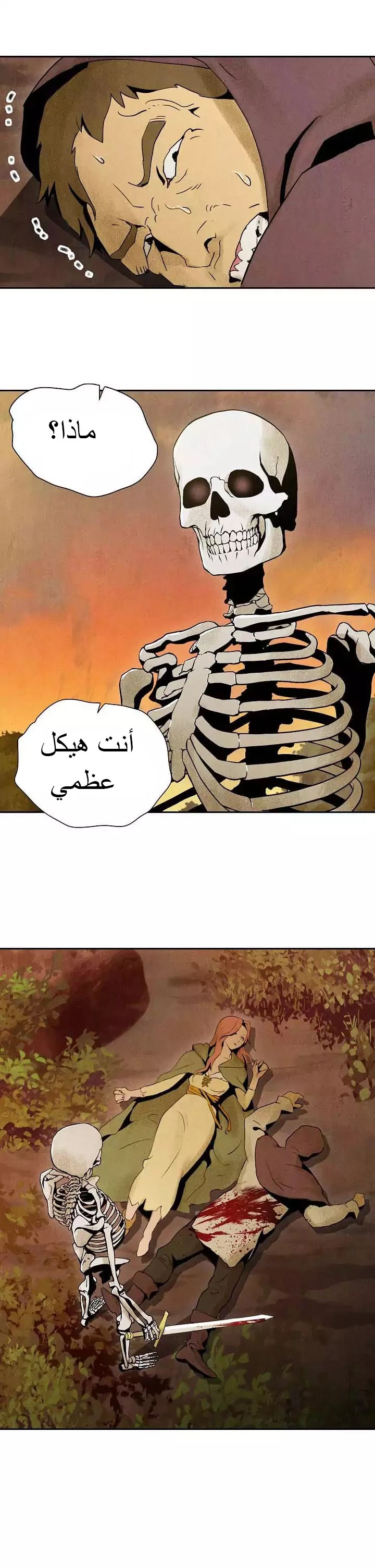 صفحة 13 — Skeleton Soldier Couldn’t Protect the Dungeon الفصل 4