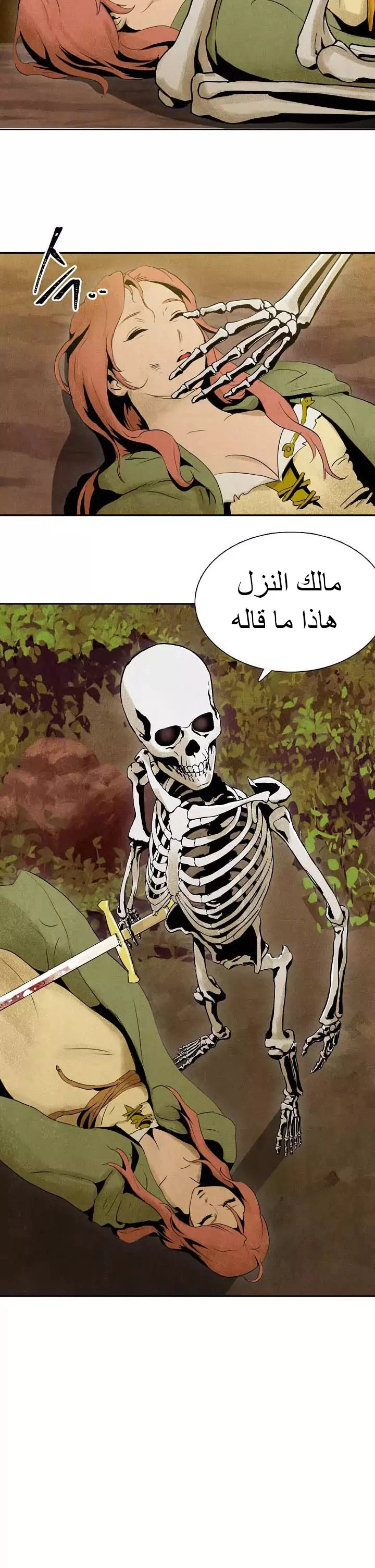 صفحة 15 — Skeleton Soldier Couldn’t Protect the Dungeon الفصل 4