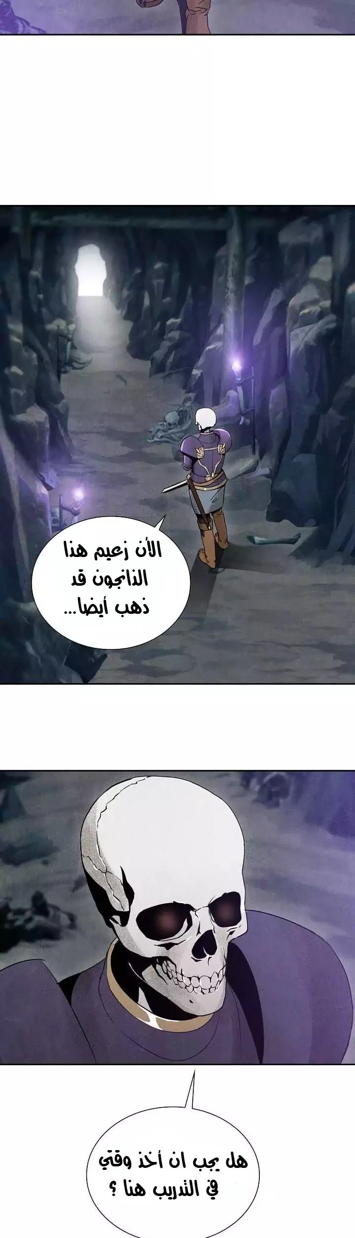 صفحة 26 — Skeleton Soldier Couldn’t Protect the Dungeon الفصل 5