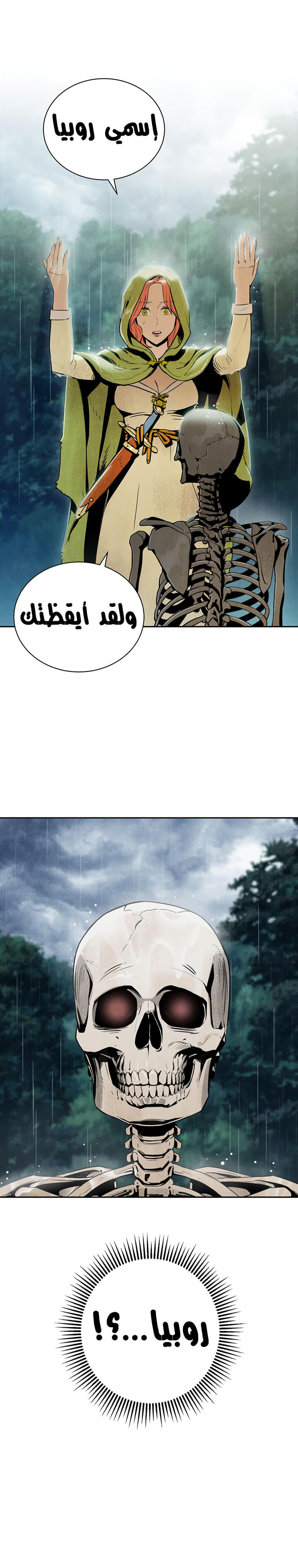 صفحة 25 — Skeleton Soldier Couldn’t Protect the Dungeon الفصل 87