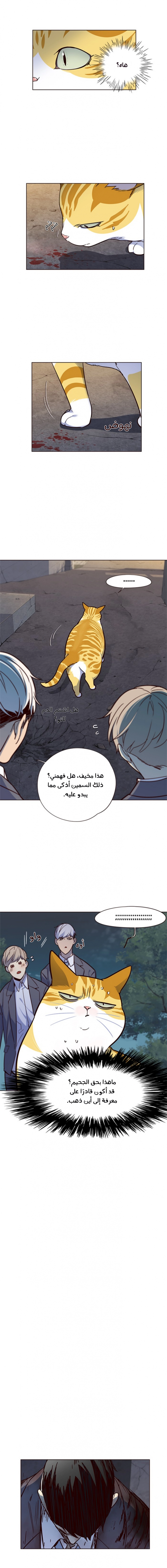 صفحة 9 — Eleceed الفصل 41