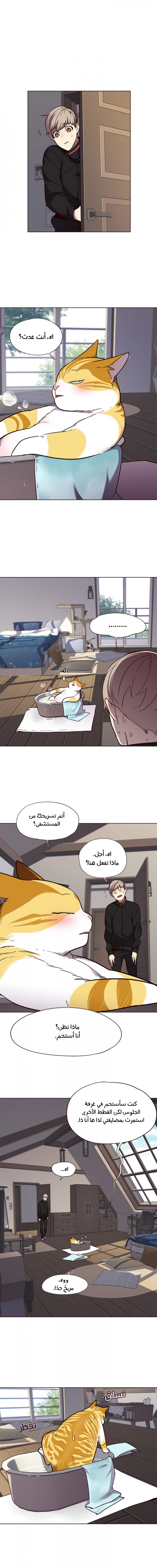 صفحة 6 — Eleceed الفصل 47