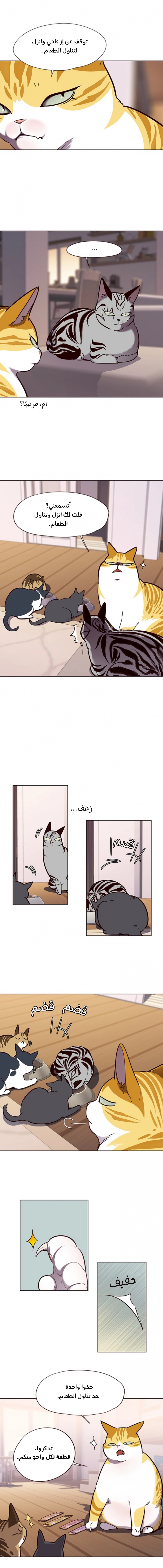 صفحة 10 — Eleceed الفصل 56