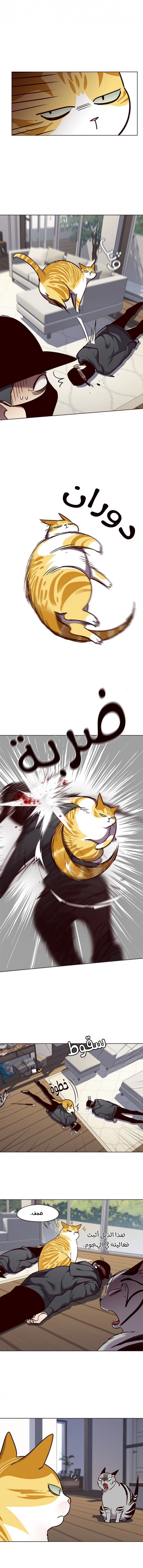 صفحة 6 — Eleceed الفصل 58