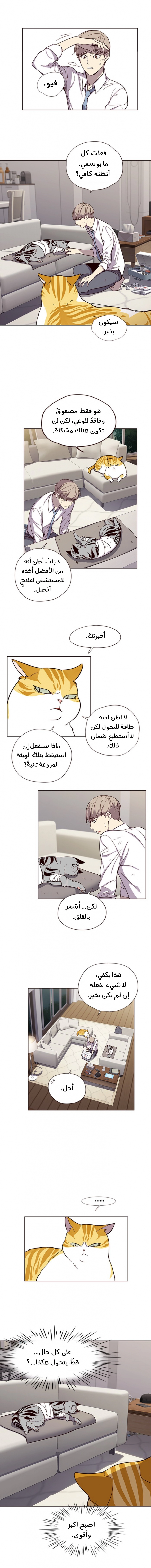 صفحة 3 — Eleceed الفصل 4