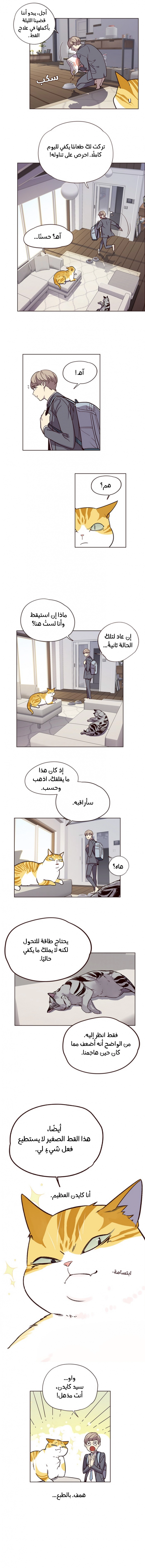 صفحة 6 — Eleceed الفصل 6