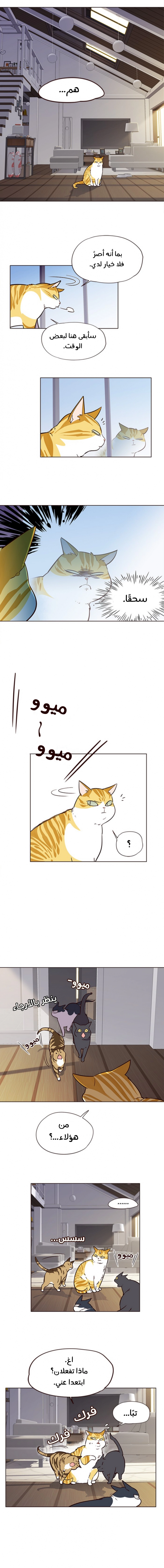 صفحة 8 — Eleceed الفصل 6