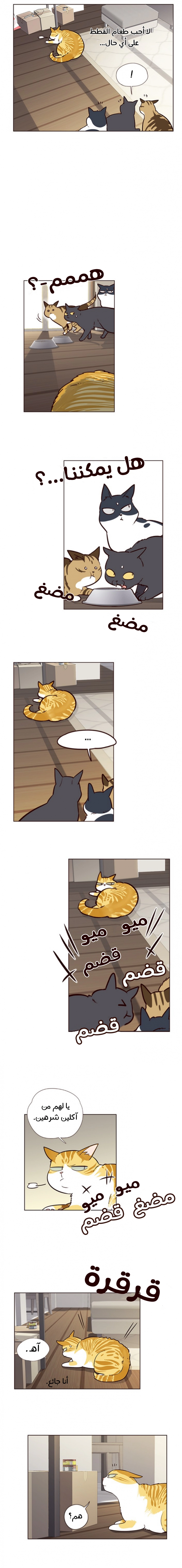 صفحة 10 — Eleceed الفصل 6