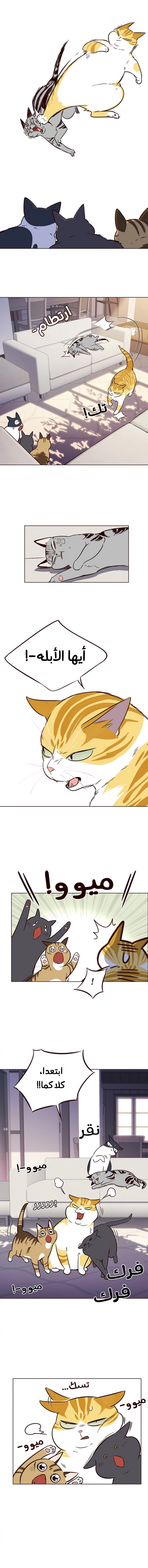 صفحة 11 — Eleceed الفصل 7