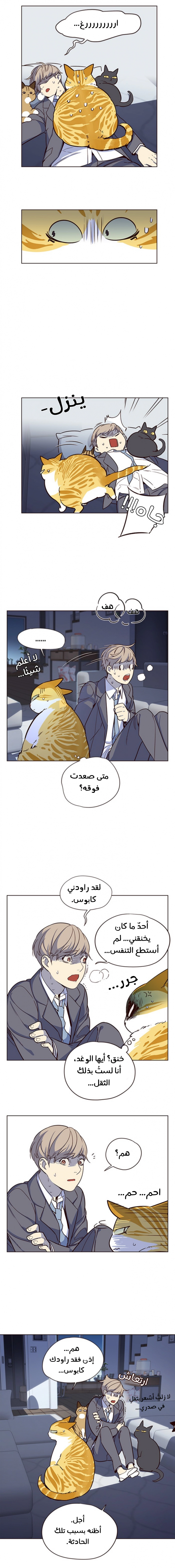 صفحة 7 — Eleceed الفصل 8