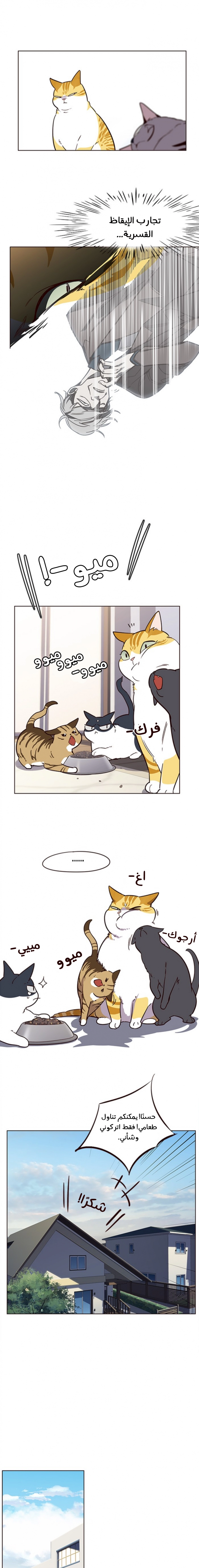 صفحة 11 — Eleceed الفصل 9