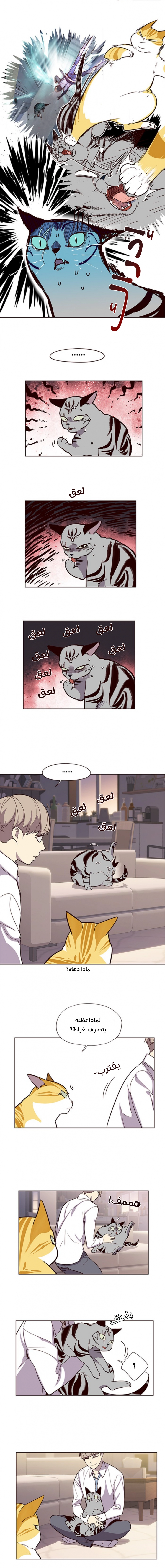 صفحة 4 — Eleceed الفصل 10