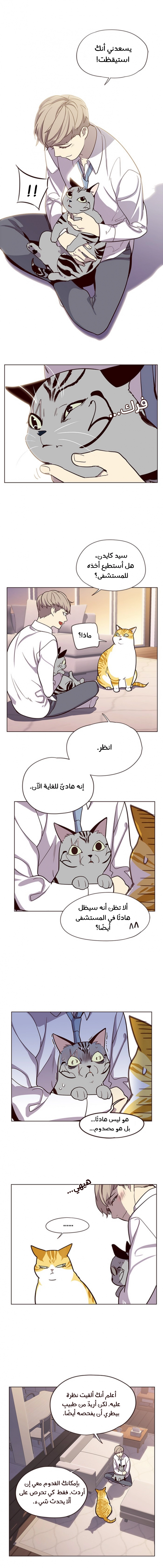 صفحة 5 — Eleceed الفصل 10