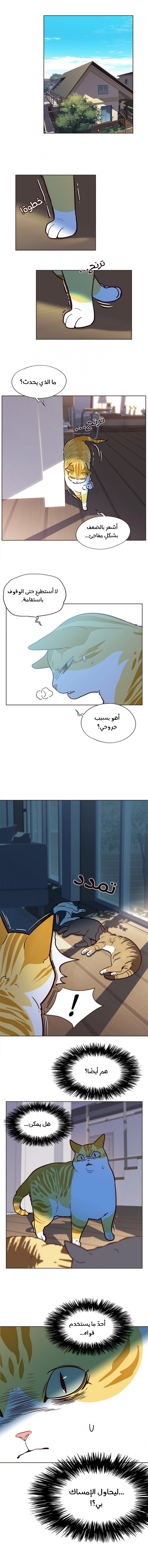 صفحة 4 — Eleceed الفصل 11