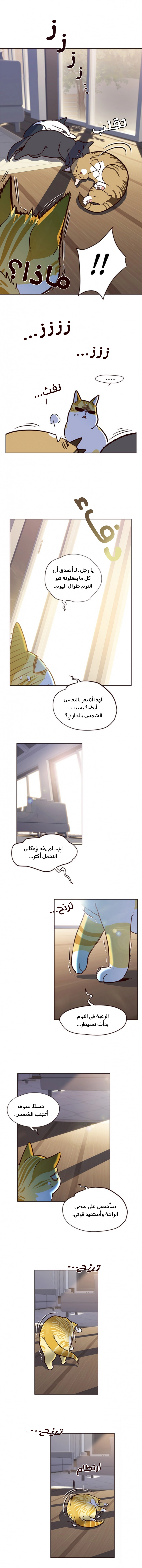 صفحة 5 — Eleceed الفصل 11