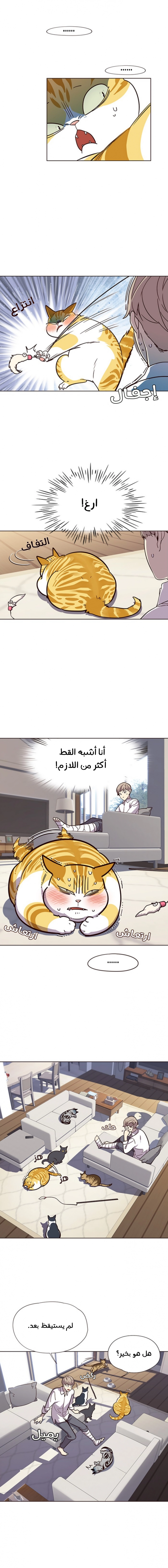 صفحة 6 — Eleceed الفصل 16