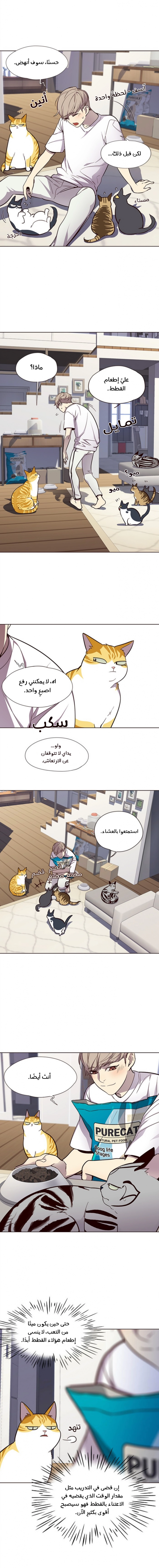 صفحة 4 — Eleceed الفصل 22