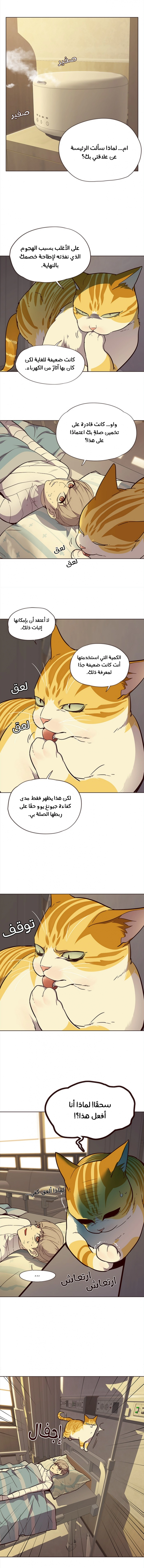 صفحة 4 — Eleceed الفصل 29