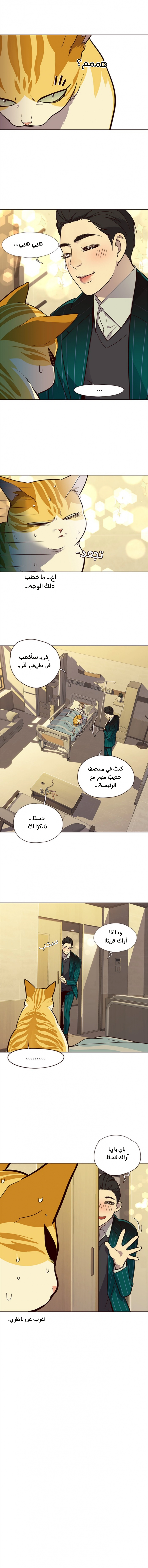 صفحة 7 — Eleceed الفصل 29