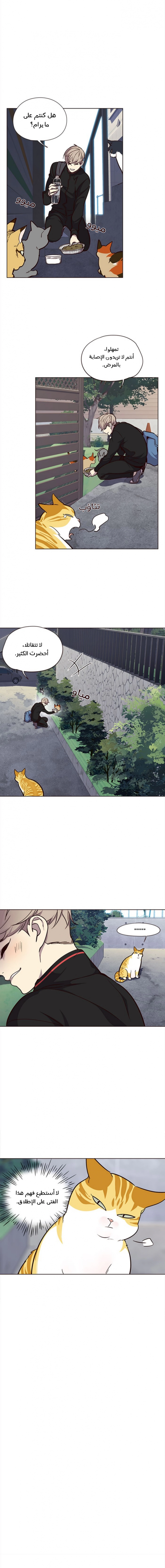 صفحة 12 — Eleceed الفصل 36