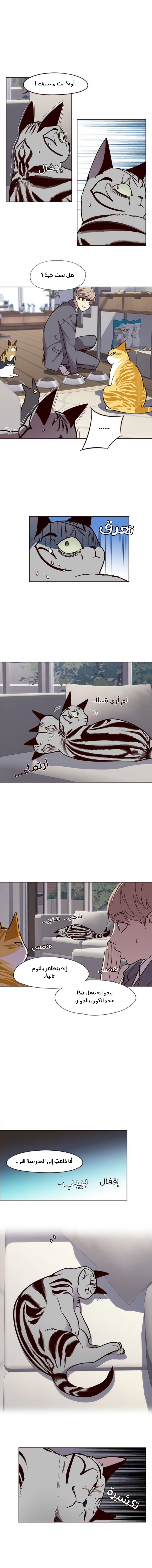 صفحة 6 — Eleceed الفصل 37