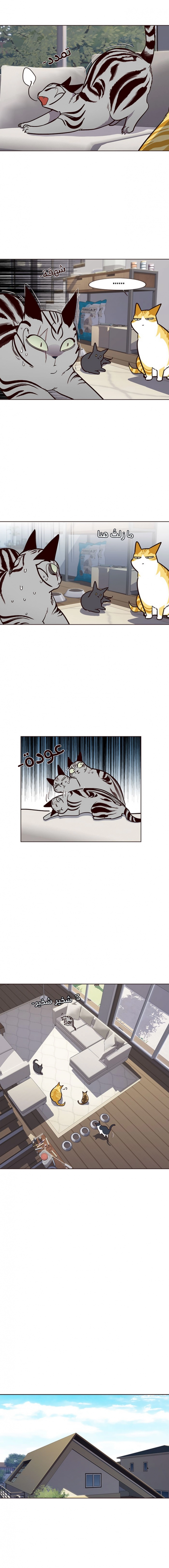 صفحة 7 — Eleceed الفصل 37