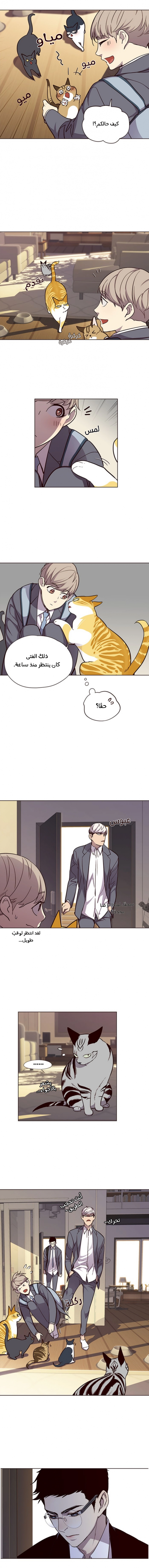 صفحة 4 — Eleceed الفصل 38